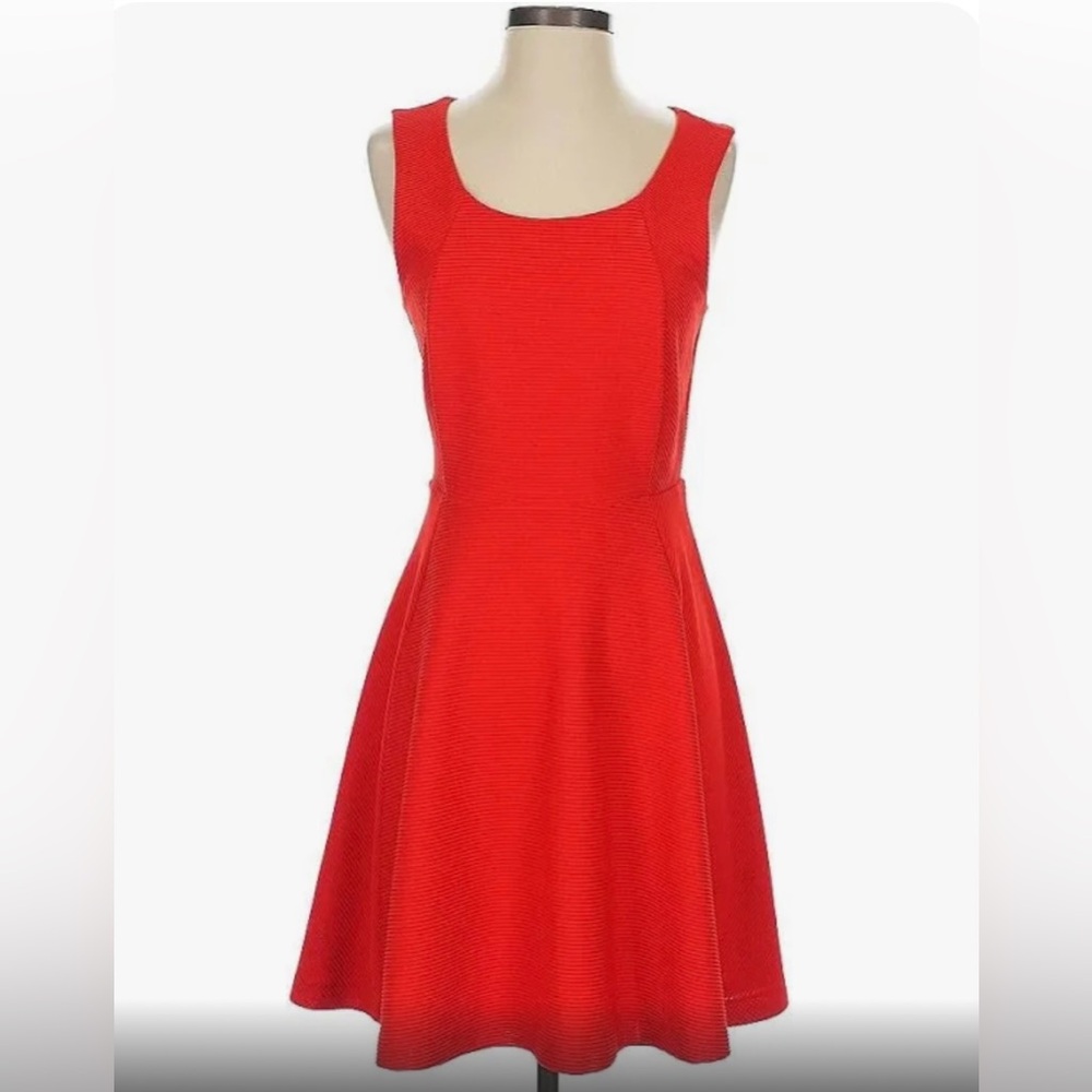 Express Fit & Flare Red Sleeveless Dress